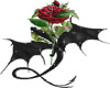Black Dragon with Rose