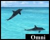 [Omni] Animated Dolphins