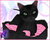 () Kitty Black Animated