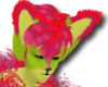 red swamp banksia hair