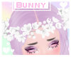 Moo Crown (White) v2