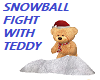 SNOWBALL FIGHT WITH TED