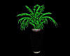 Magical Vase & Plant