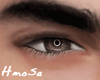 H* Brown Male Eyes