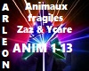 Animaux Fragiles Zaz