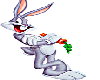 bunny1