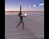 Volley Ball