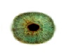 Green eyes v2