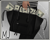 Robber money bag