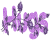 hugs anim