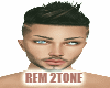 Rem 2Tone