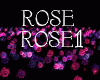 Rose effect romantic