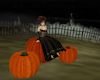 'Halloween Pumpkin Chat