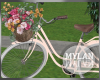 ~M~ | Dahlia Bicycle