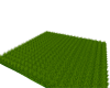 Patch of Grass