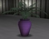 Plant with Purple Vase