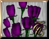 TC~ Purple Roses White