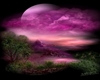 M - Romantic purple land