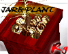 [Rg]Rouge Plant