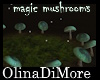 (OD)  Magic mushroms