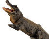 SteamPunk Alligator