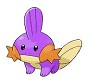 Shiny Mudkip!!