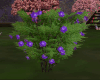 TreeHouse Flowers 2