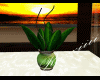 :R: Sun/Cot Potted Plant