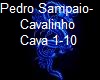 Pedro Sampaio-Cavalinho