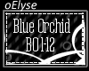 E| Blue Orchid