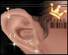 Gold Piercings