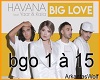Big Love-Havana