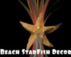 *Beach StarFish Decor