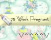 25 Weeks Pregnant (y)