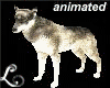 xo*My Animated Wolf
