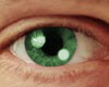 Green Eyes - M -