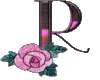 (R) Rose Purple *RR*
