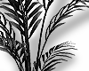✮ dark plants #2