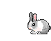 Sticker rabbit