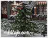 Christmas Pine w Lights