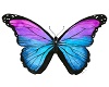 ping ping butterfly 3
