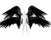 !V Black Animated Wings
