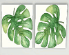 [Vivi] Leaf Frames