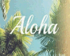 (R)Aloha