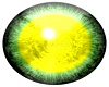 M-Yellow/Green Eyes