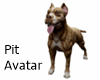 Pit Avatar