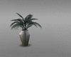 penthouse vase