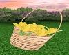 Basket Yellow Flowers