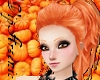 Pumpkin Sophia