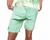 Green Chino Shorts